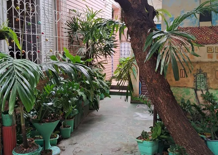 Hotel perto da faculdade: Hostel Sol Da Barra